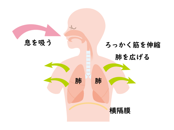 酸素がある脳とない脳