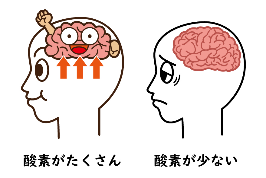 酸素がある脳とない脳