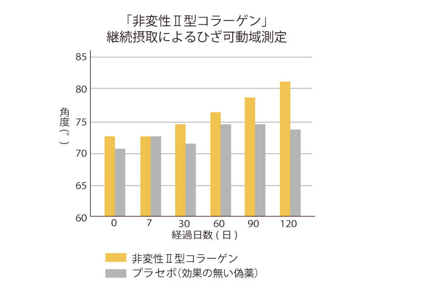 非変性Ⅱ型コラーゲンの効果　実験図