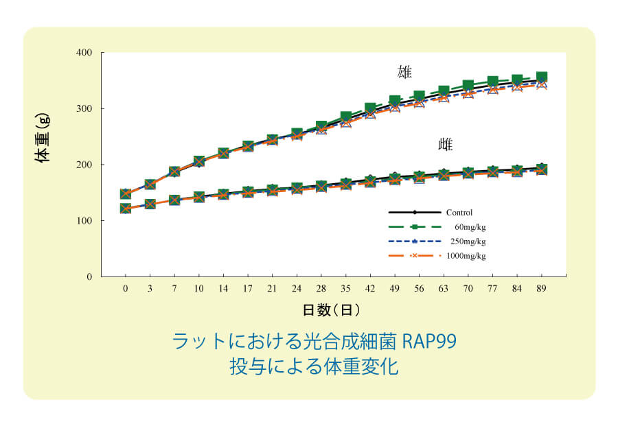 安全性試験の結果