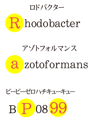 RAP99の名前