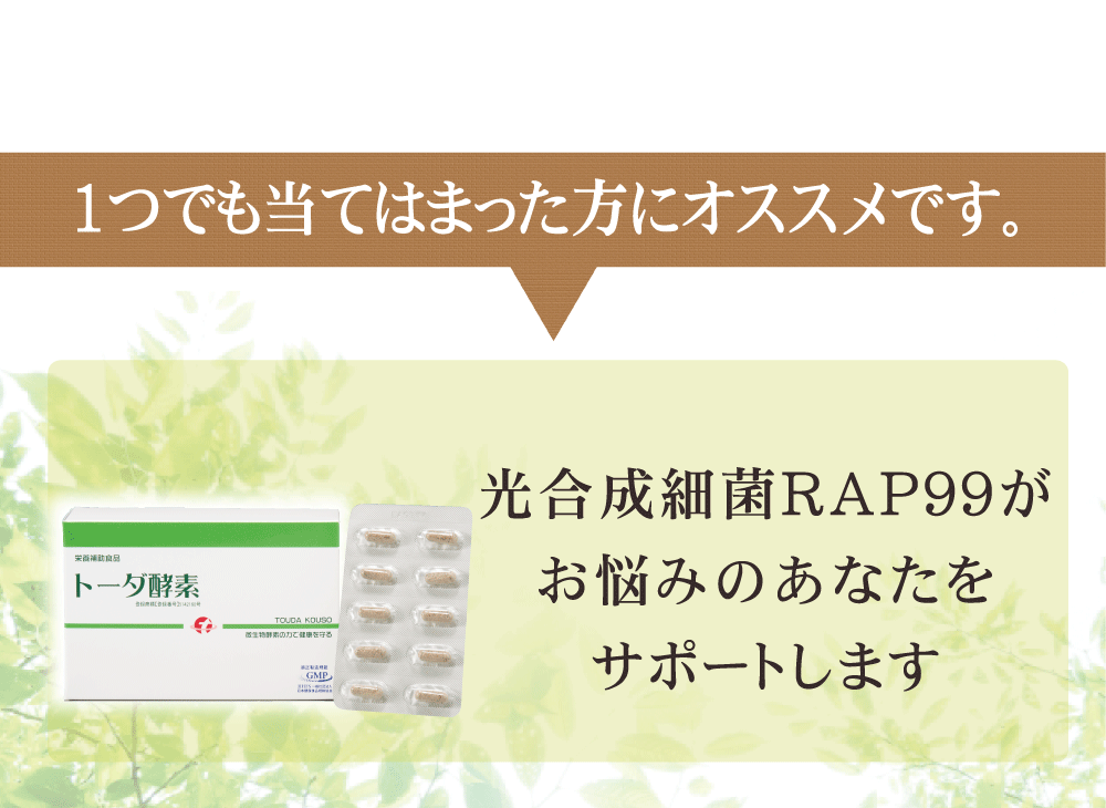 RAP99がサポート